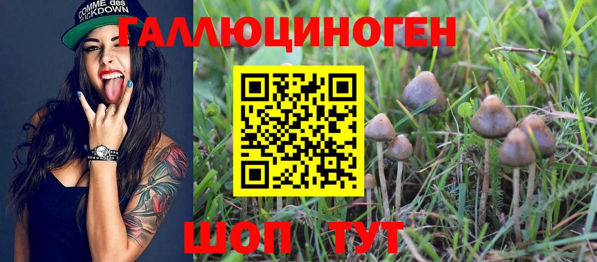 Геленджик  Галлюциногенные грибы Psilocybine cubensis  Галлюциногенные грибы ЛСД  Вход с VPN 